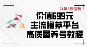 6月最新价值699的主流撸茅台平台精品养号下车攻略【揭秘】-优品网赚资源库