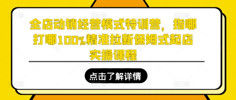 全店动销经营模式特训营，指哪打哪100%精准拉新保姆式起店实操课程-优品网赚资源库