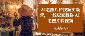 AI老照片转视频实战营，一线玩家教你AI老照片转视频-优品网赚资源库