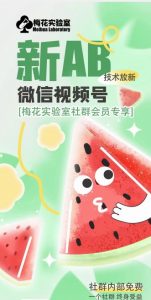 梅花实验室2024年AB技术视频号AB合成破解版-优品网赚资源库