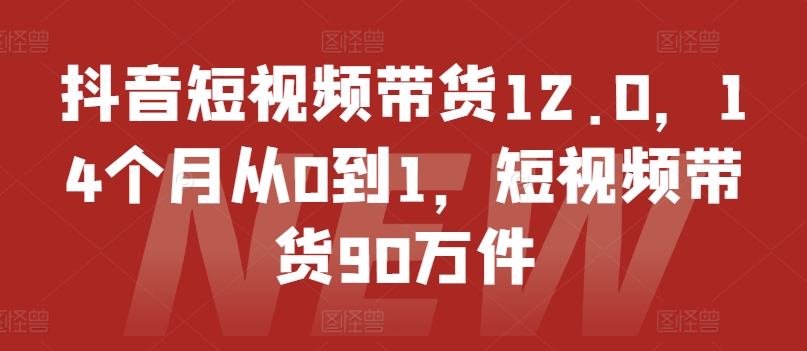 抖音短视频带货12.0,14个月从0到1,短视频带货90万件-优品网赚资源库