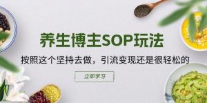 养生博主SOP玩法，按照这个坚持去做，引流变现还是很轻松的-优品网赚资源库