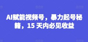 AI赋能视频号，暴力起号秘籍，15 天内必见收益【揭秘】-优品网赚资源库