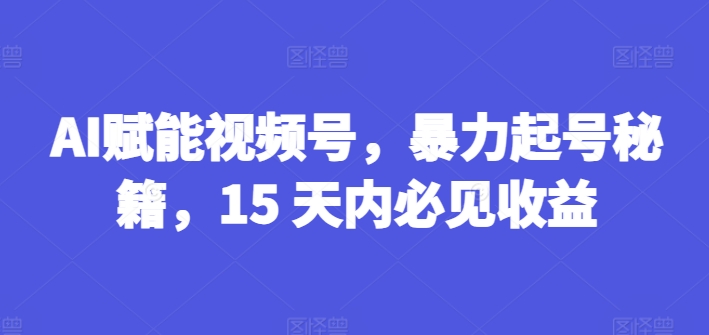 AI赋能视频号，暴力起号秘籍，15 天内必见收益【揭秘】-优品网赚资源库