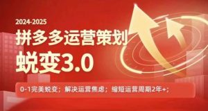 2024-2025拼多多运营策略蜕变3.0，0~1完美蜕变，解决信息焦虑-优品网赚资源库