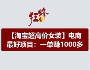 淘宝超高价女装项目，电商最好赛道，一单赚1000多-优品网赚资源库