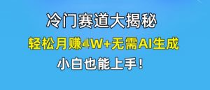 冷门赛道大揭秘，轻松月赚1W+无需AI生成，小白也能上手【揭秘】-优品网赚资源库