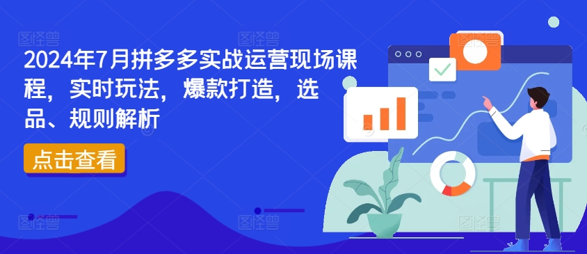 2024年7月拼多多实战运营现场课程,实时玩法,爆款打造,选品、规则解析-优品网赚资源库