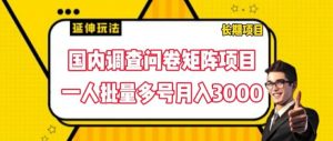 国内调查问卷矩阵项目,一人批量多号月入3000【揭秘】-优品网赚资源库