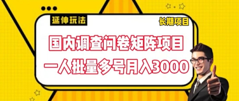 国内调查问卷矩阵项目,一人批量多号月入3000【揭秘】-优品网赚资源库