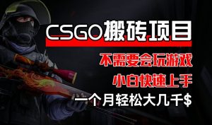 CSGO 装备搬砖项目，操作简单，不需要会玩游戏，小白也能快速上手，一个月轻松大几千【揭秘】-优品网赚资源库