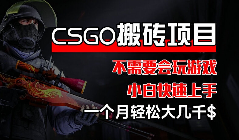 CSGO 装备搬砖项目,操作简单,不需要会玩游戏,小白也能快速上手,一个月轻松大几千【揭秘】-优品网赚资源库