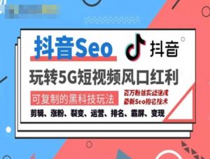 抖音SEO引流培训课程-抓住抖音风口，实现搜索排名，获取精准流量，快速成交变现-优品网赚资源库