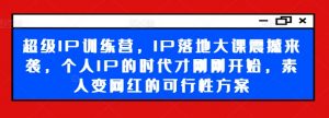 超级IP训练营，IP落地大课震撼来袭，个人IP的时代才刚刚开始，素人变网红的可行性方案-优品网赚资源库