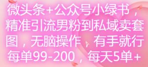 微头条+公众号小绿书，精准引流男粉到私域卖套图，无脑操作，有手就行，每单99-200，每天5单-优品网赚资源库