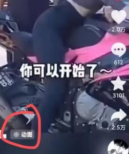 2024年7月苹果手机动图搬运技术-优品网赚资源库