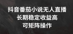 抖音番茄小说无人直播，长期稳定收益高，可矩阵操作【揭秘】-优品网赚资源库