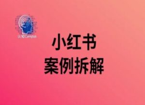 小红书案例拆解，深度解读小红书40万粉-优品网赚资源库