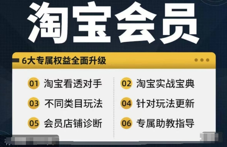 淘宝会员【淘宝所有课程，全面分析对手】，初级到高手全系实战宝典-优品网赚资源库