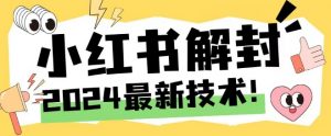 2024最新小红书账号封禁解封方法，无限释放手机号【揭秘】-优品网赚资源库