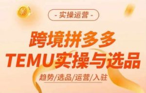 跨境拼多多TEMU实操与选品，多多temu跨境选品运营实操-优品网赚资源库