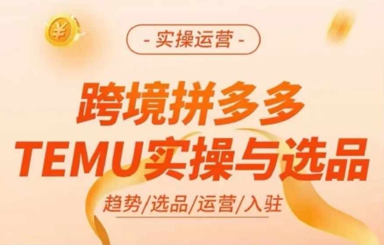 跨境拼多多TEMU实操与选品，多多temu跨境选品运营实操-优品网赚资源库