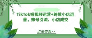 TikTok短视频运营+跨境小店运营,账号引流、小店成交-优品网赚资源库
