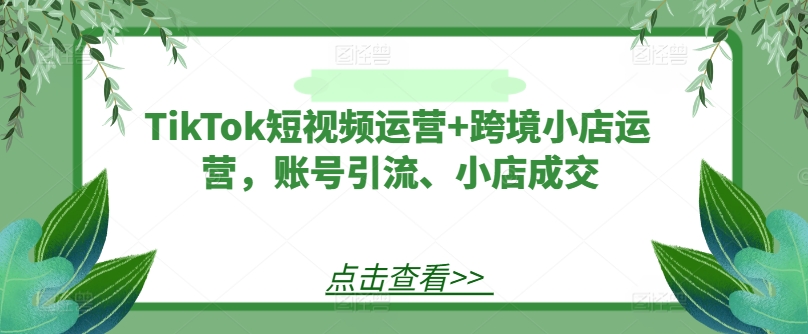 TikTok短视频运营+跨境小店运营,账号引流、小店成交-优品网赚资源库