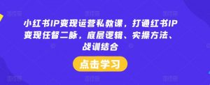 小红书IP变现运营私教课，打通红书IP变现任督二脉，底层逻辑、实操方法、战训结合-优品网赚资源库