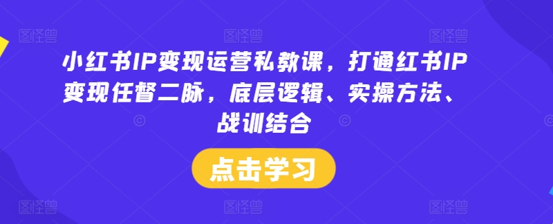 小红书IP变现运营私教课，打通红书IP变现任督二脉，底层逻辑、实操方法、战训结合-优品网赚资源库