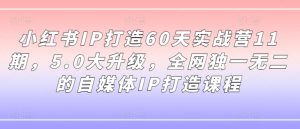 小红书IP打造60天实战营11期，5.0大升级，全网独一无二的自媒体IP打造课程-优品网赚资源库