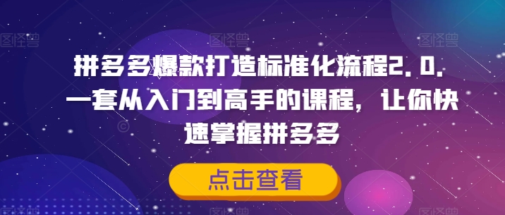 拼多多爆款打造标准化流程2.0,一套从入门到高手的课程,让你快速掌握拼多多-优品网赚资源库