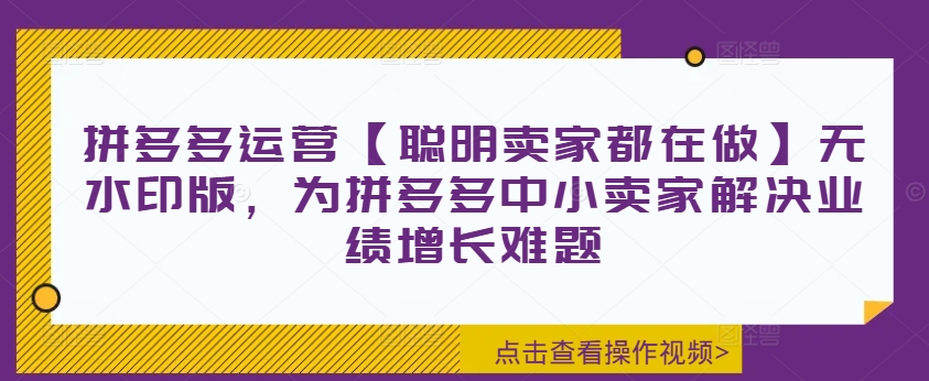 拼多多运营【聪明卖家都在做】无水印版，为拼多多中小卖家解决业绩增长难题-优品网赚资源库