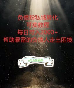 负债粉掘金计划，帮助负债者解决问题，债务规划，债务重组，最好的变现方式【揭秘】-优品网赚资源库