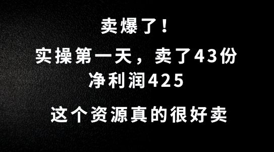 这个资源,需求很大,实操第一天卖了43份,净利润425【揭秘】-优品网赚资源库