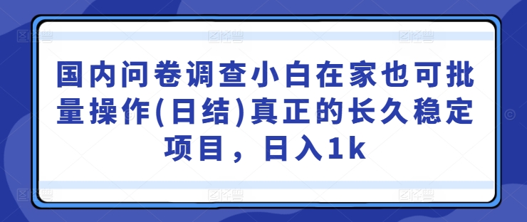 国内问卷调查小白在家也可批量操作(日结)真正的长久稳定项目，日入1k【揭秘】-优品网赚资源库