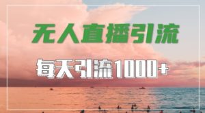 抖音快手视频号全平台通用,无人直播引流法,超暴力引流1000+高质量精准创业粉【揭秘】-优品网赚资源库