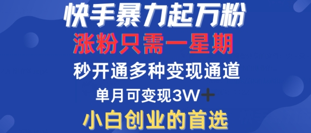 快手暴力起万粉，涨粉只需一星期，多种变现模式，直接秒开万合，单月变现过W【揭秘】-优品网赚资源库