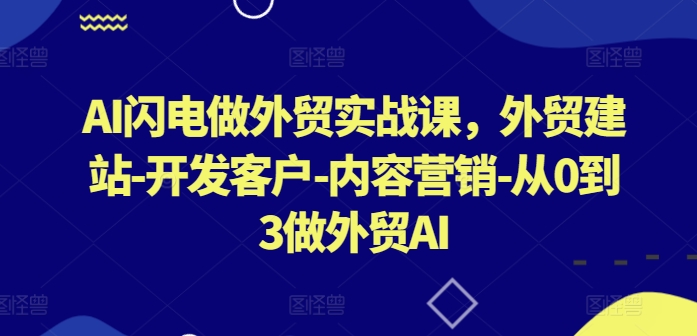 AI闪电做外贸实战课,外贸建站-开发客户-内容营销-从0到3做外贸AI(更新)-优品网赚资源库