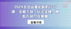 2024多多运营必听的12节课，全程干货，玩法实操，爆款方案尽在掌握-优品网赚资源库