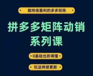 拼多多矩阵动销系列课，能持续盈利的多多矩阵，0基础也听得懂，玩法持续更新-优品网赚资源库