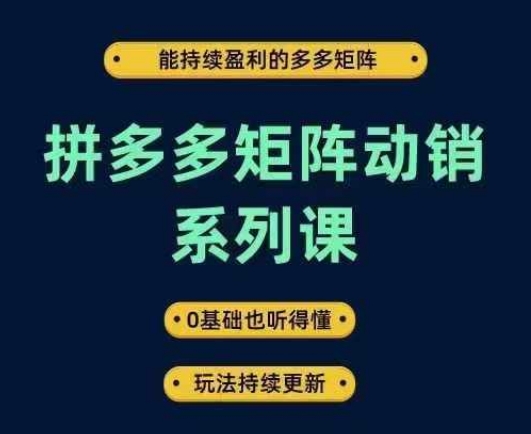 拼多多矩阵动销系列课，能持续盈利的多多矩阵，0基础也听得懂，玩法持续更新-优品网赚资源库
