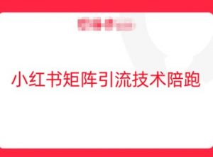 小红书矩阵引流技术，教大家玩转小红书流量-优品网赚资源库