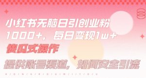 小红书无脑每日引流创业粉500+，小白每天只花半小时，躺赚长尾收益【揭秘】-优品网赚资源库