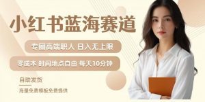 小红书蓝海赛道，圈中高端职场人，月入无上限，可矩阵，内含私域实操教程!-优品网赚资源库