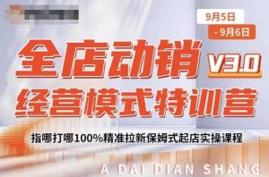 全店动销经营模式特训营,指哪打哪100%精准拉新保姆式起店实操课程-优品网赚资源库