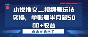 小说推文—视频号玩法实操，单账号半月破5000+收益-优品网赚资源库