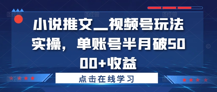 小说推文—视频号玩法实操，单账号半月破5000+收益-优品网赚资源库