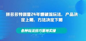 拼多多特训营24年爆破流玩法,产品决定上限,方法决定下限,各种玩法技巧落地实操-优品网赚资源库