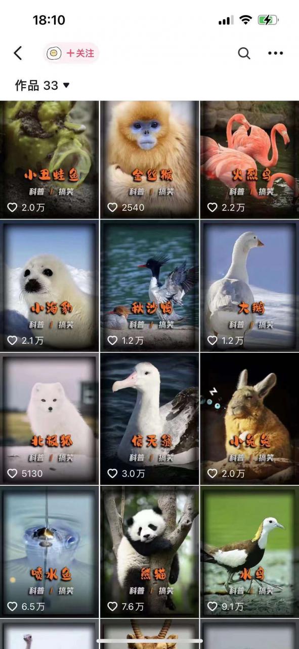 动物科普解说项目，撸创作者伙伴计划收益，保姆级实战教程-优品网赚资源库